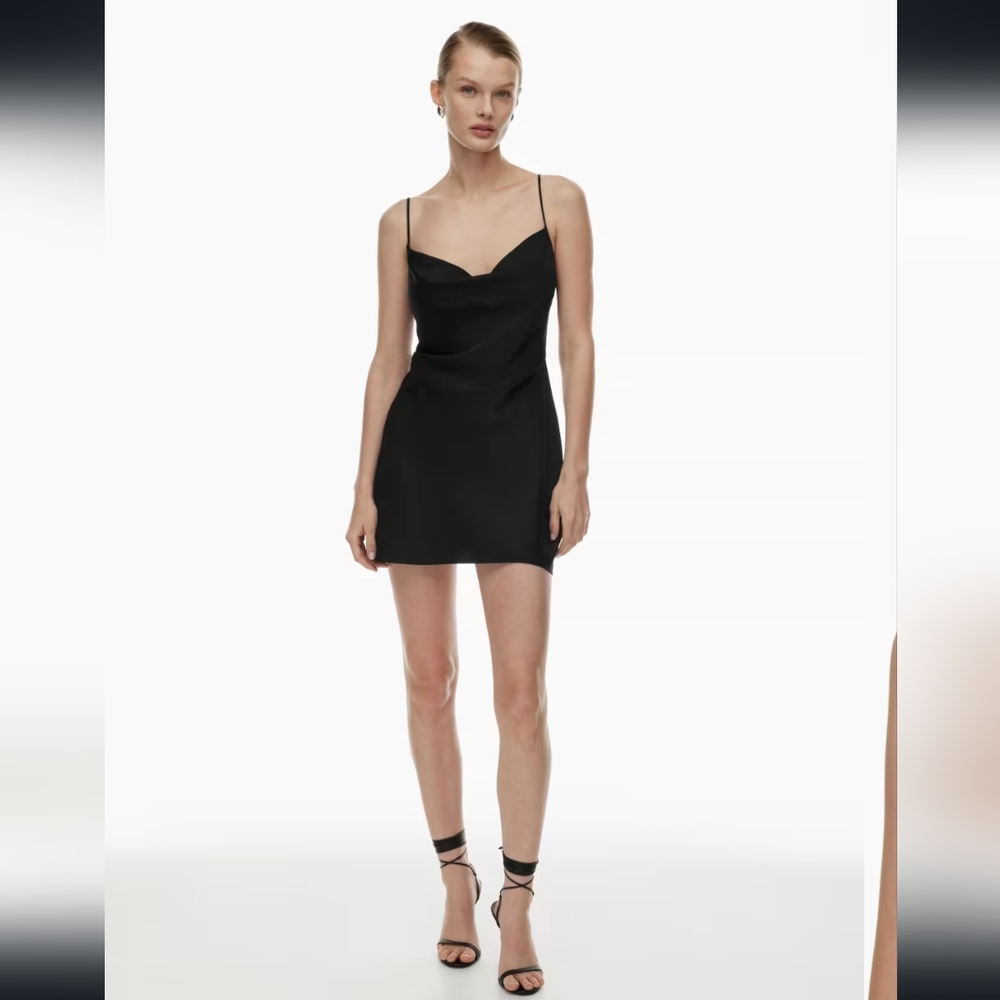 Babaton Model Dress